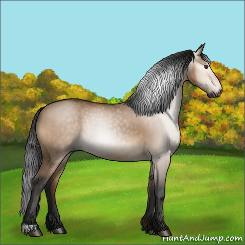 Horse Color:Gray Bay Dun