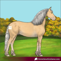 Horse Color:Silver Classic Cream Champagne 
