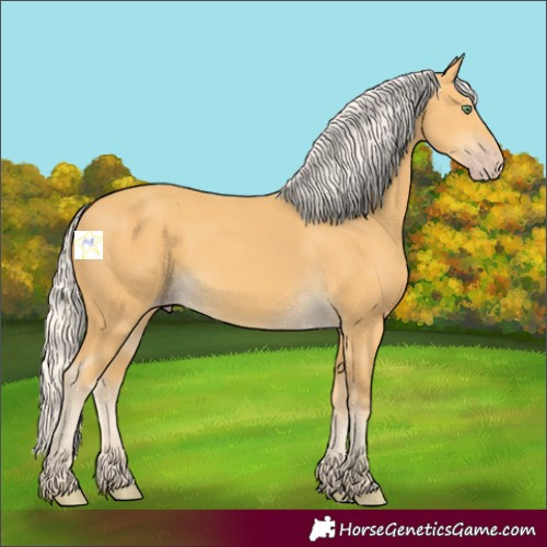 Horse Color:Silver Amber Cream Champagne 