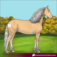 Horse Color:Silver Amber Cream Champagne 