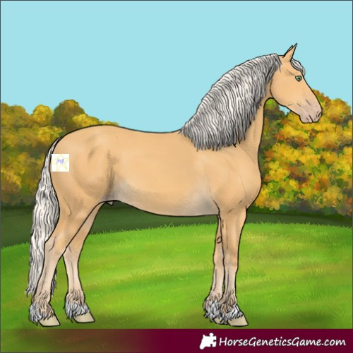 Horse Color:Silver Amber Cream Champagne 