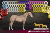 Horse Color:Sable Champagne Sabino