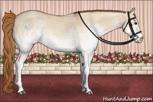 Horse Color:White Spotted Red Dun Roan 