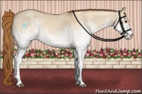 Horse Color:White Spotted Red Dun Roan