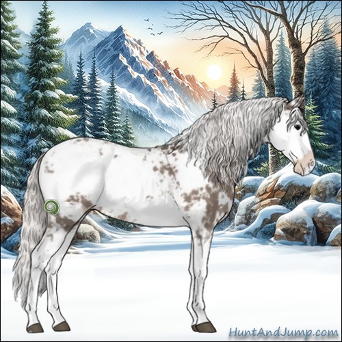 Horse Color:Silver Black Sabino Rabicano 