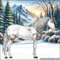 Horse Color:Silver Black Sabino Rabicano