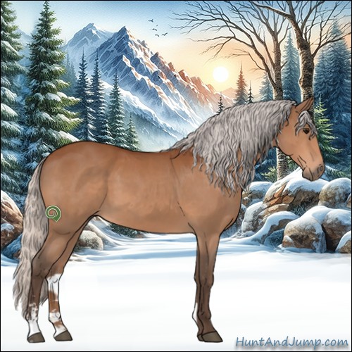 Horse Color:Silver Bay Sabino 