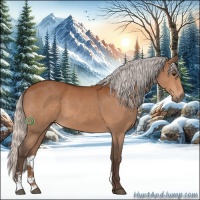 Horse Color:Silver Bay Sabino 