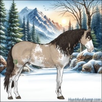 Horse Color:Liver Red Dun Sabino Rabicano 