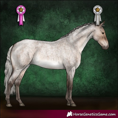 Horse Color:Silver Brown Roan Dun 
