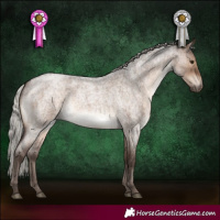 Horse Color:Silver Brown Roan Dun 