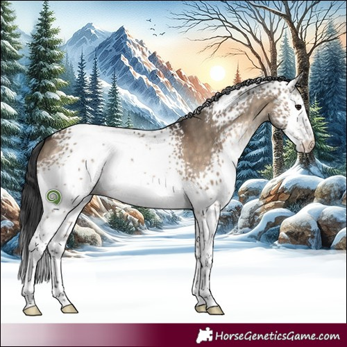 Horse Color:White Spotted Brown Dun 