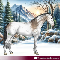 Horse Color:White Spotted Brown Dun