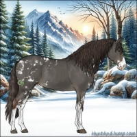 Horse Color:Liver Red Dun Sabino Rabicano 