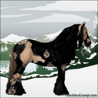 Horse Color:Void Gold Champagne Roan Splash Tobiano