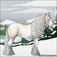 Horse Color:Gold Cream Champagne Pearl Splash Tobiano 