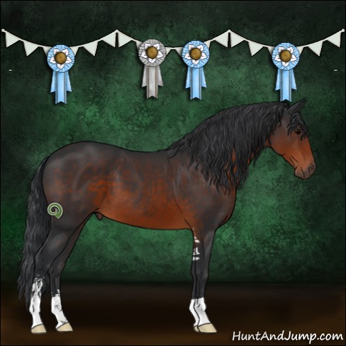 Horse Color:Brown Sabino