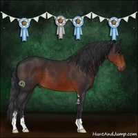 Horse Color:Brown Sabino