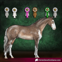 Horse Color:Silver Brown Dun Sabino 