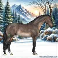 Horse Color:Brown Dun