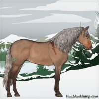 Horse Color:Silver Brown Dun Sabino