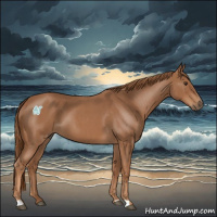 Horse Color:Red Roan 