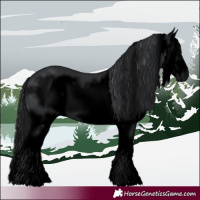Horse Color:Void Black Splash Frame Rabicano 