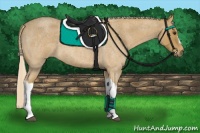 Horse Color:Palomino Roan