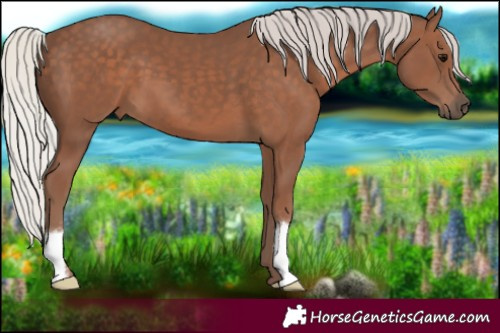 Horse Color:Silver Black 