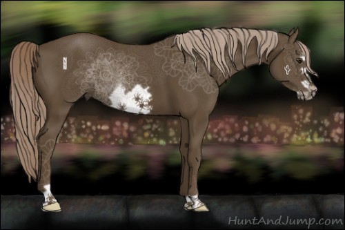 Horse Color:Chocolate Palomino Frame 