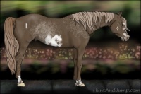 Horse Color:Chocolate Palomino Frame 