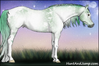 Horse Color:Gray Watercolor Bay Tobiano 