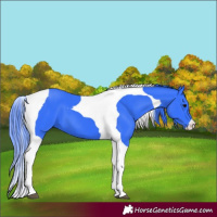 Horse Color:Watercolor Black Tobiano 