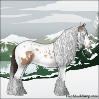 Horse Color:Sable Champagne Splash Tobiano Appaloosa 