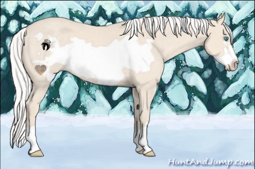 Horse Color:Silver Smoky Creme Roan Frame 