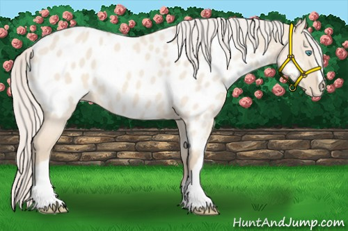 Horse Color:Cremello Dun Near Leopard