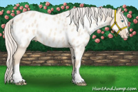 Horse Color:Cremello Dun Near Leopard