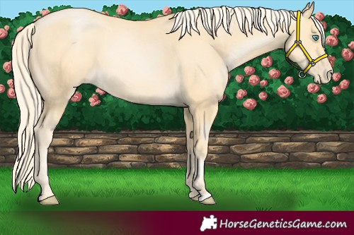 Horse Color:Palomino Pearl