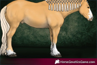 Horse Color:Palomino