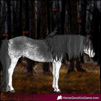 Horse Color:White Spotted Black