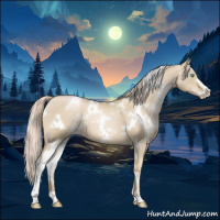 Horse Color:White Spotted Chocolate Palomino Pearl Dun Sabino