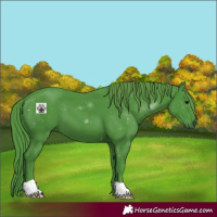 Horse Color:Watercolor Black 