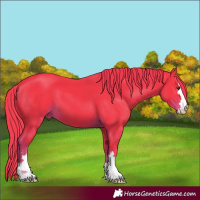 Horse Color:Watercolor Liver Chestnut 