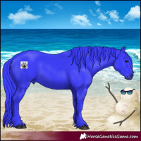 Horse Color:Watercolor Black 