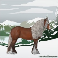 Horse Color:Silver Brown Sabino 