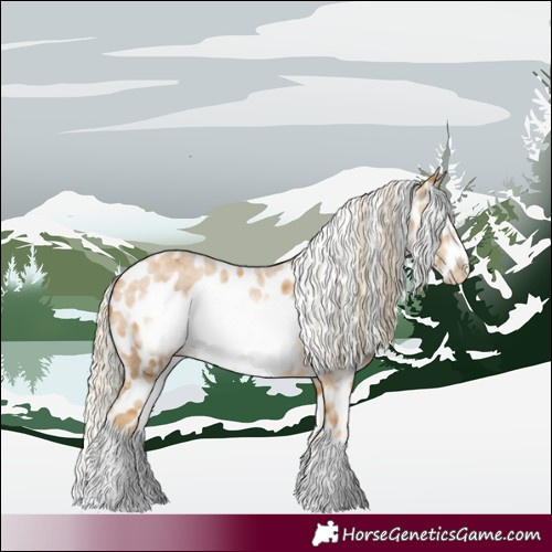 Horse Color:Palomino Roan Sabino Frame Appaloosa 