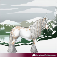 Horse Color:Palomino Roan Sabino Frame Appaloosa