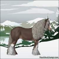 Horse Color:Liver Chestnut Mushroom 