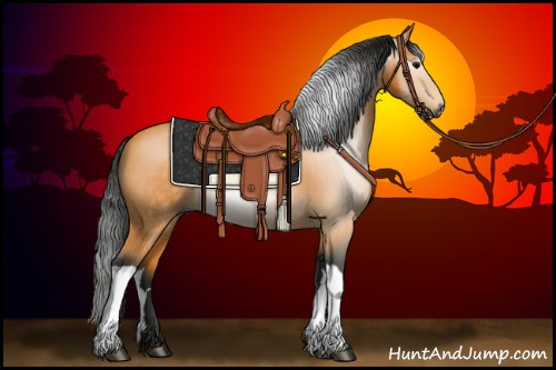 Horse Color:Gray Buckskin Rabicano 