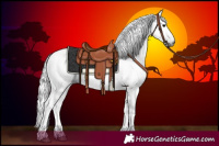 Horse Color:Gray Black 